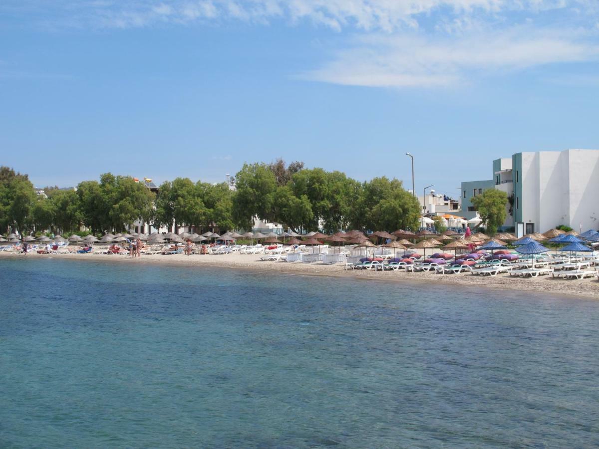 Sunset Beach Apartments Turgutreis Rum bild